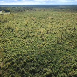 Photo #25 of Off of Saxis Road , Temperanceville, VA 193.0 acres