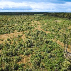 Photo #27 of Off of Saxis Road , Temperanceville, VA 193.0 acres