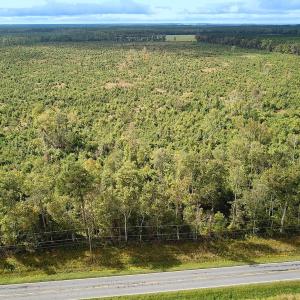 Photo #28 of Off of Saxis Road , Temperanceville, VA 193.0 acres