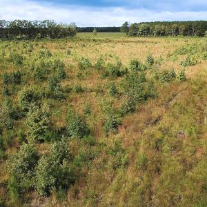 Photo #29 of Off of Saxis Road , Temperanceville, VA 193.0 acres