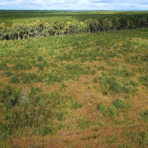Photo #30 of Off of Saxis Road , Temperanceville, VA 193.0 acres