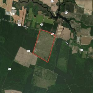 Photo #35 of Off of Saxis Road , Temperanceville, VA 193.0 acres