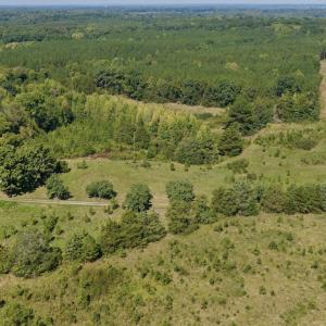 Photo #10 of 1170 Shelton Road, South Boston, VA 637.0 acres
