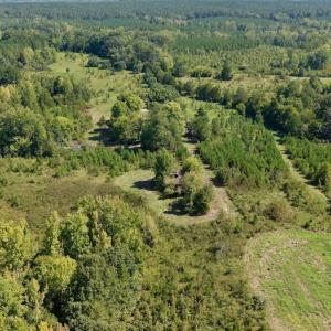 Photo #17 of 1170 Shelton Road, South Boston, VA 637.0 acres