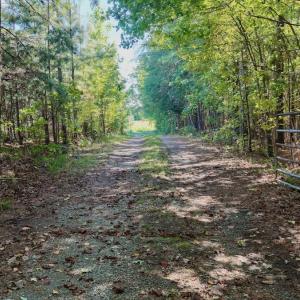 Photo #18 of 1170 Shelton Road, South Boston, VA 637.0 acres