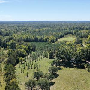 Photo #19 of 1170 Shelton Road, South Boston, VA 637.0 acres