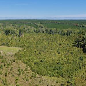 Photo #20 of 1170 Shelton Road, South Boston, VA 637.0 acres