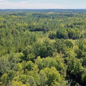 Photo #21 of 1170 Shelton Road, South Boston, VA 637.0 acres