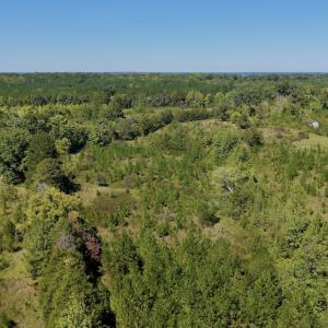 Photo #23 of 1170 Shelton Road, South Boston, VA 637.0 acres