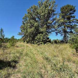 Photo #24 of 1170 Shelton Road, South Boston, VA 637.0 acres