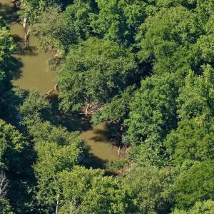 Photo #31 of 1170 Shelton Road, South Boston, VA 637.0 acres