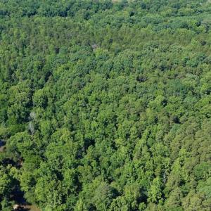 Photo #32 of 1170 Shelton Road, South Boston, VA 637.0 acres