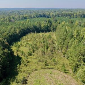 Photo #34 of 1170 Shelton Road, South Boston, VA 637.0 acres