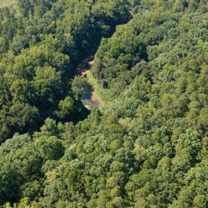 Photo #35 of 1170 Shelton Road, South Boston, VA 637.0 acres