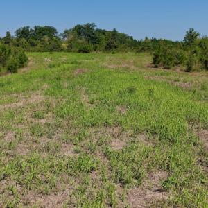 Photo #36 of 1170 Shelton Road, South Boston, VA 637.0 acres