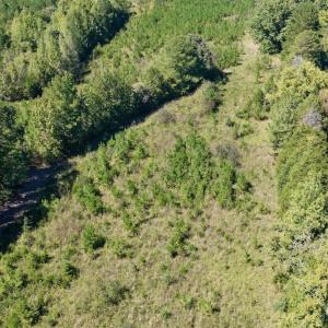 Photo #38 of 1170 Shelton Road, South Boston, VA 637.0 acres