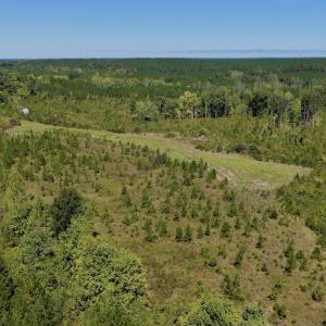 Photo #39 of 1170 Shelton Road, South Boston, VA 637.0 acres