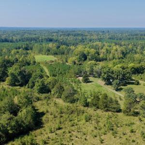 Photo #4 of 1170 Shelton Road, South Boston, VA 637.0 acres