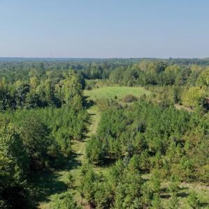 Photo #5 of 1170 Shelton Road, South Boston, VA 637.0 acres