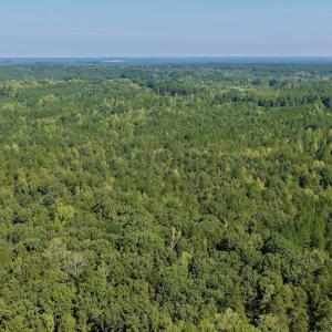 Photo #6 of 1170 Shelton Road, South Boston, VA 637.0 acres