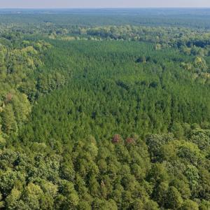Photo #7 of 1170 Shelton Road, South Boston, VA 637.0 acres