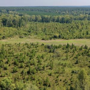 Photo #9 of 1170 Shelton Road, South Boston, VA 637.0 acres