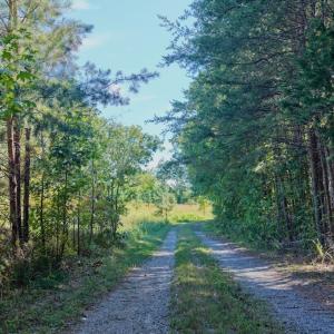 Photo #41 of 1170 Shelton Road, South Boston, VA 637.0 acres