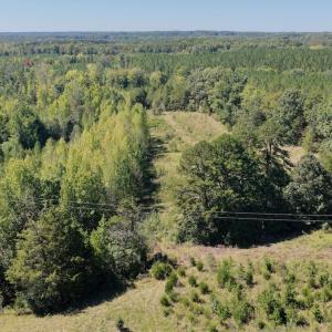 Photo #42 of 1170 Shelton Road, South Boston, VA 637.0 acres
