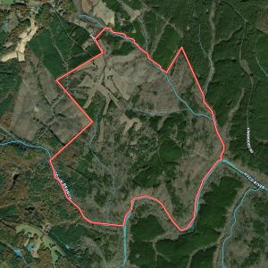 Photo #44 of 1170 Shelton Road, South Boston, VA 637.0 acres