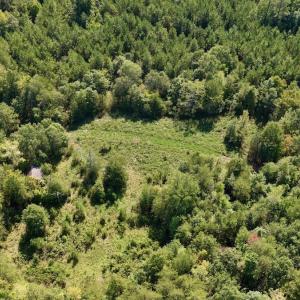 Photo #72 of 1170 Shelton Road, South Boston, VA 637.0 acres