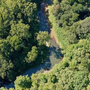 Photo #73 of 1170 Shelton Road, South Boston, VA 637.0 acres