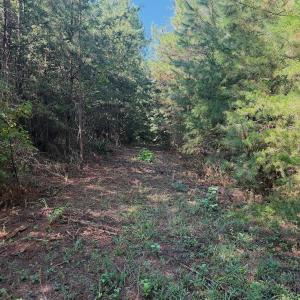 Photo #67 of 1170 Shelton Road, South Boston, VA 637.0 acres