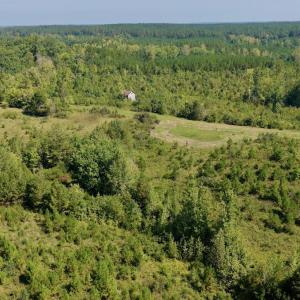 Photo #76 of 1170 Shelton Road, South Boston, VA 637.0 acres