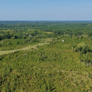 Photo #77 of 1170 Shelton Road, South Boston, VA 637.0 acres