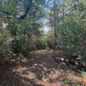 Photo #68 of 1170 Shelton Road, South Boston, VA 637.0 acres