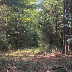 Photo #69 of 1170 Shelton Road, South Boston, VA 637.0 acres