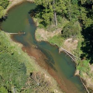 Photo #80 of 1170 Shelton Road, South Boston, VA 637.0 acres
