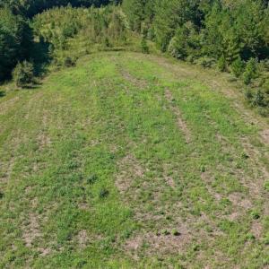 Photo #70 of 1170 Shelton Road, South Boston, VA 637.0 acres