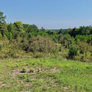 Photo #71 of 1170 Shelton Road, South Boston, VA 637.0 acres