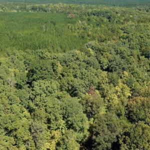 Photo #81 of 1170 Shelton Road, South Boston, VA 637.0 acres