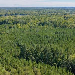 Photo #82 of 1170 Shelton Road, South Boston, VA 637.0 acres
