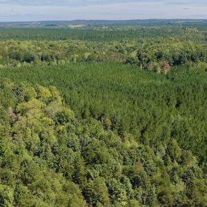 Photo #83 of 1170 Shelton Road, South Boston, VA 637.0 acres