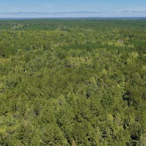 Photo #84 of 1170 Shelton Road, South Boston, VA 637.0 acres