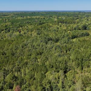 Photo #85 of 1170 Shelton Road, South Boston, VA 637.0 acres