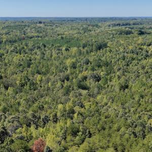 Photo #86 of 1170 Shelton Road, South Boston, VA 637.0 acres
