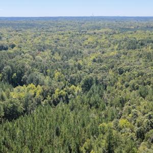 Photo #87 of 1170 Shelton Road, South Boston, VA 637.0 acres