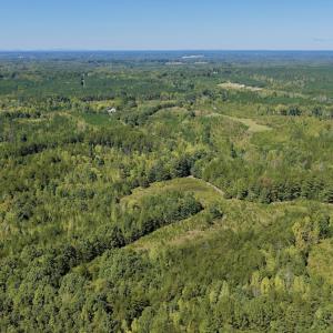 Photo #88 of 1170 Shelton Road, South Boston, VA 637.0 acres