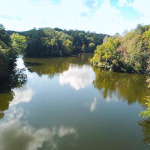 Photo #12 of 15157 Hilltop Lane, Smithfield, VA 20.2 acres