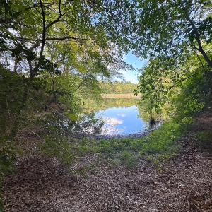 Photo #31 of 15157 Hilltop Lane, Smithfield, VA 20.2 acres