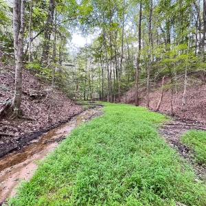 Photo #32 of 15157 Hilltop Lane, Smithfield, VA 20.2 acres